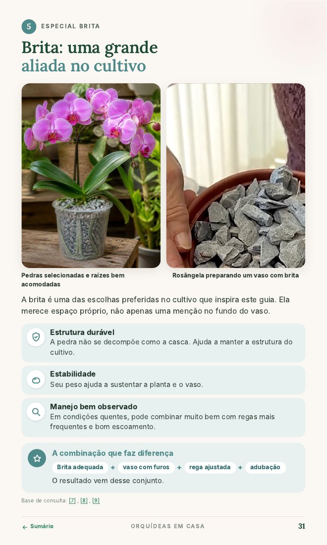 Página Brita: uma grande aliada no cultivo