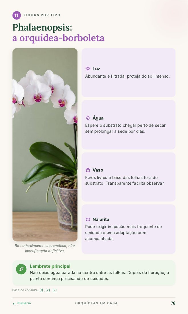 Ficha da Phalaenopsis