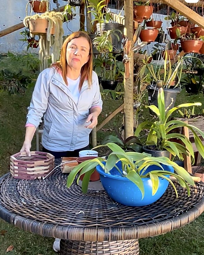 Rosângela preparando um replantio