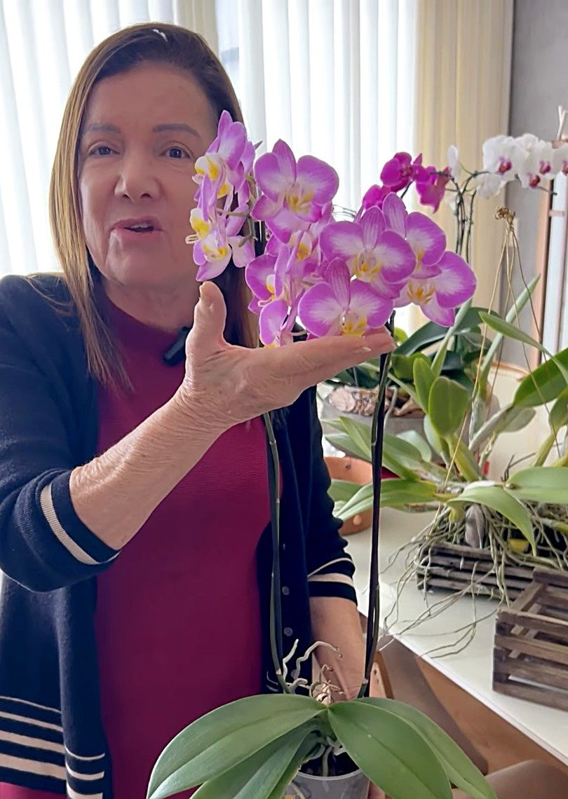 Rosângela Ávila segurando uma orquídea Phalaenopsis rosa florida
